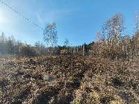 Участок 12.0  соток, Кортис снт