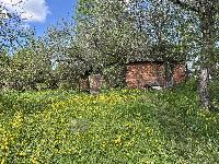 Дом 50.0  м2, Шарино д.
