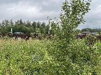 Участок 7.2  соток, Акатово д.
