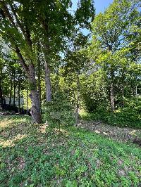 Дом 160.1  м2, Леоново с.