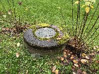 Дом 160.0  м2, Ногово д.