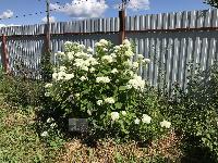 Дом 88.5  м2, Радости Парк 1 тер. ДНП