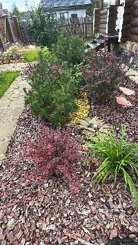 Дом 120.0  м2, ДНП Рижская Роза тер.