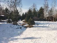 Участок 10.0  соток, СНТ Лада тер.