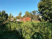 Участок 5.0  соток, Щедрино д.