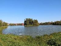 Участок 11.4  соток, Поярково д.