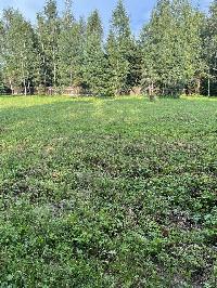 Участок 15.0  соток, Сальково д.