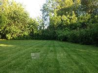 Участок 8.0  соток, Саларьево д.