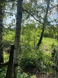 Участок 4.5  соток, ДСК Сельскохозяйственный тер.