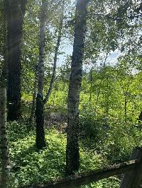 Участок 4.5  соток, ДСК Сельскохозяйственный тер.