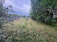 Участок 6.0  соток, Селятино д.