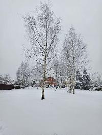 Участок 17.5  соток, Сырьево д.