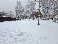 Участок 17.5  соток, Сырьево д.