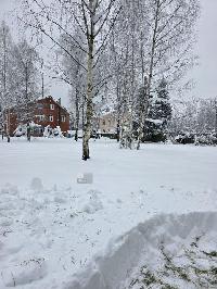 Участок 17.5  соток, Сырьево д.