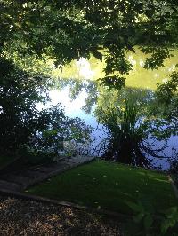 Участок 8.0  соток, Саларьево д.