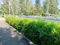 Участок 6.0  соток, Введенское с.