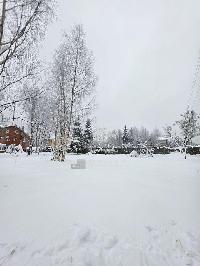 Участок 17.5  соток, Сырьево д.