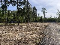 Участок 6.7  соток, Селятино д.