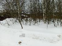 Участок 12.0  соток, Иглово д.