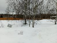 Участок 12.0  соток, Иглово д.