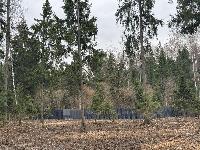 Участок 6.7  соток, Селятино д.