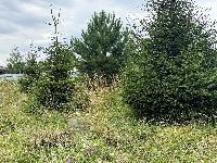 Участок 7.5  соток, Кузнецово д.