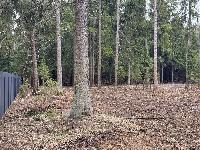 Участок 6.7  соток, Селятино д.