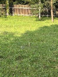 Участок 15.0  соток, Сальково д.