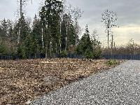 Участок 6.7  соток, Селятино д.