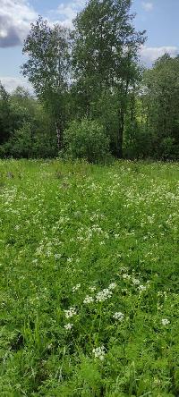 Участок 8.0  соток, Малое Ушаково д.