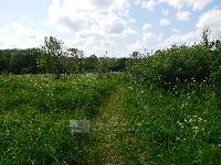 Участок 6.2  соток, Новосёлово д.