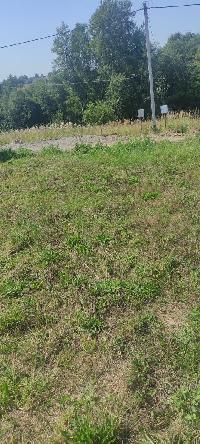 Участок 8.0  соток, Малое Ушаково д.