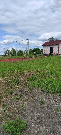 Участок 8.0  соток, Малое Ушаково д.