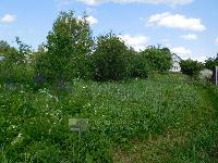 Участок 6.2  соток, Новосёлово д.