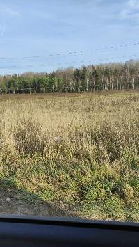 Участок 8.0  соток, Малое Ушаково д.