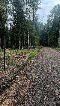 Участок 6.1  соток, Дубровское д.