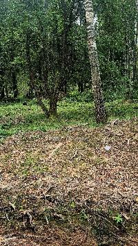 Участок 6.1  соток, Дубровское д.