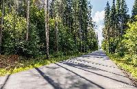 Дом 205.0  м2, Борзые д.