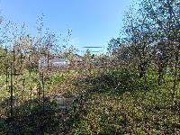 Участок 10.0  соток, СНТ им. Тимирязева тер.