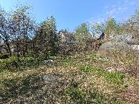Участок 10.0  соток, СНТ им. Тимирязева тер.