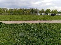 Дом 120.0  м2, Растуново с.
