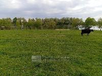 Дом 120.0  м2, Растуново с.