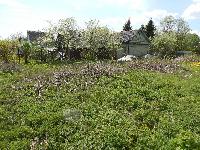 Участок 10.2  соток, Купчинино д.