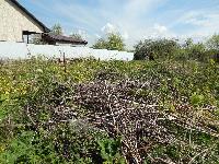 Участок 10.2  соток, Купчинино д.