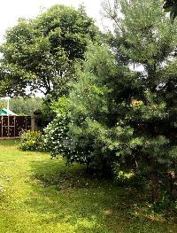 Дом 270.0  м2, Юдановка д.