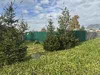 Участок 5.0  соток, Пятовское д.