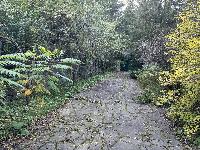 Участок 8.0  соток, СНТ Поляна тер.