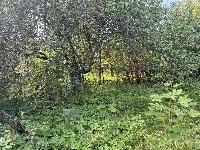 Участок 10.0  соток, СНТ Крекшино ВВЦ тер.