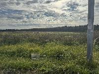 Участок 5.0  соток, Пятовское д.