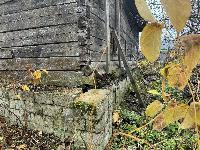 Участок 4.6  соток, Саларьево д.